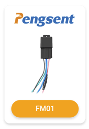 FM01