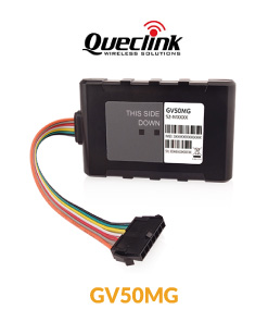 GV50MG-blog-1