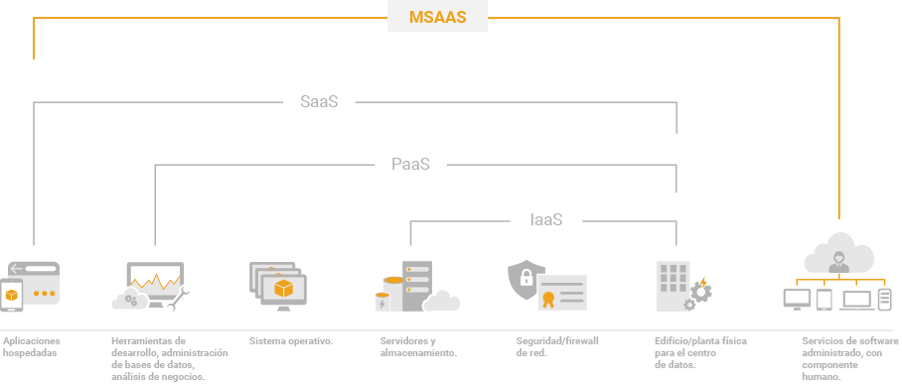 MSAAS - INFOG