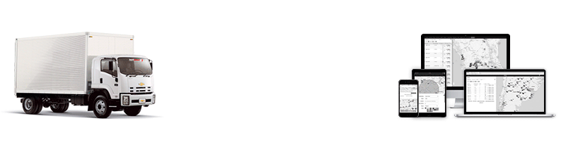 ammer---GIF--Mailchimp-PL-F