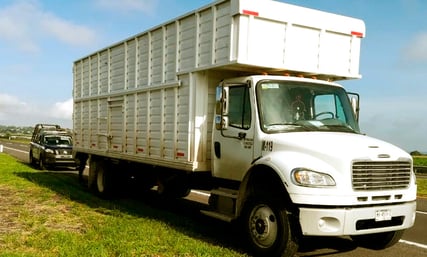 obo-camion